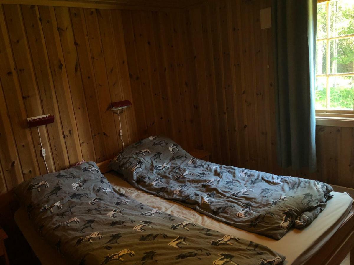 Sjoaasen Hytte Tuddal Extérieur photo